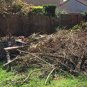 Garden-Rubbish clearance Bristol